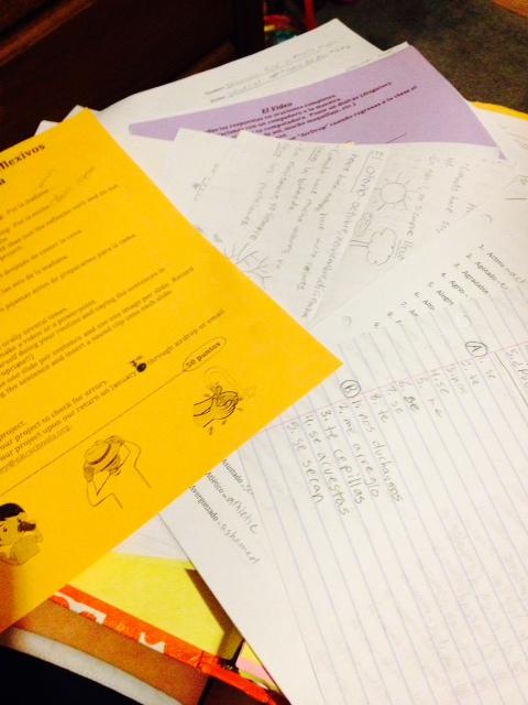 Pre-IB Freshmen Study Techniques for Finals